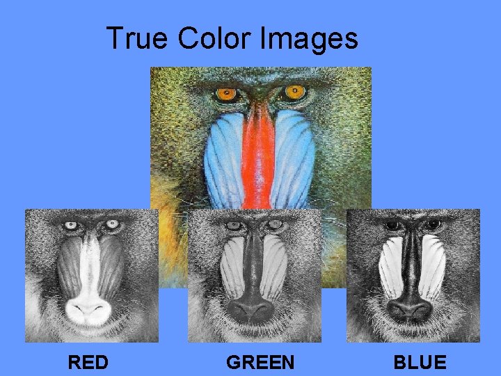 True Color Images RED GREEN BLUE 