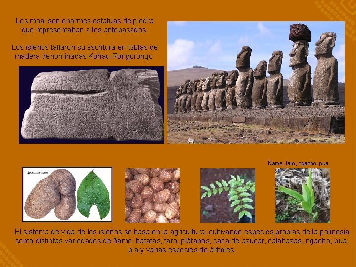 Los moai son enormes estatuas de piedra que representaban a los antepasados. Los isleños