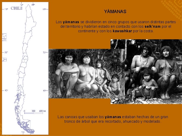 YÁMANAS Los yámanas se dividieron en cinco grupos que usaron distintas partes del territorio