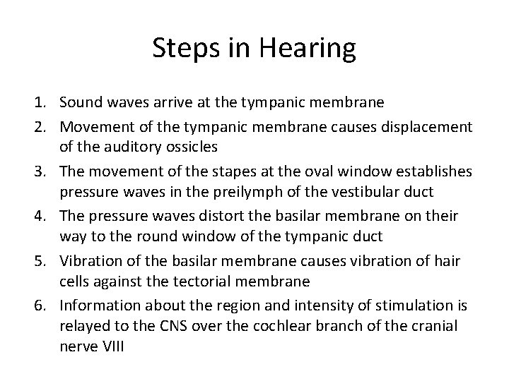 Steps in Hearing 1. Sound waves arrive at the tympanic membrane 2. Movement of