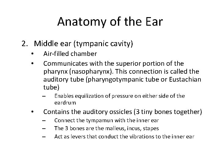 Anatomy of the Ear 2. Middle ear (tympanic cavity) • • Air-filled chamber Communicates