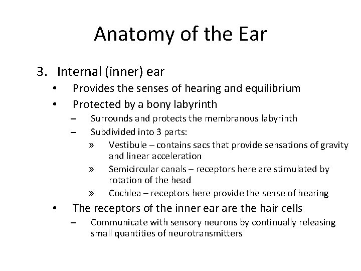 Anatomy of the Ear 3. Internal (inner) ear • • Provides the senses of