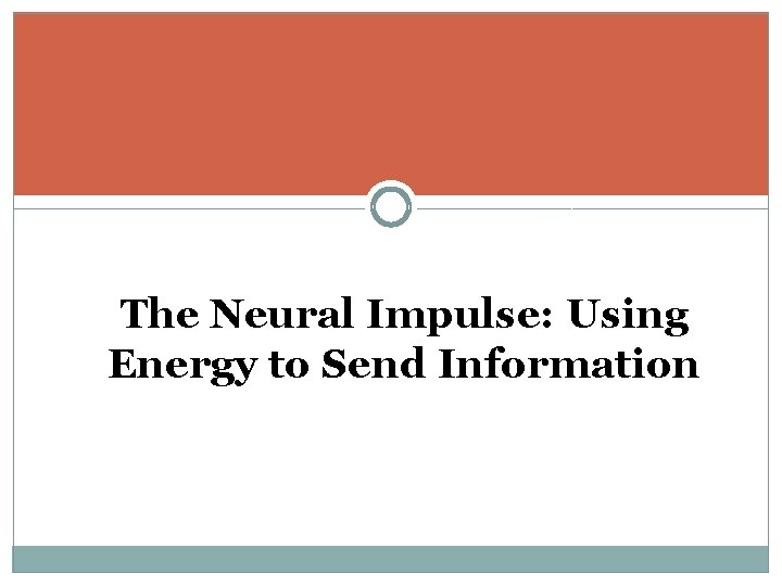 The Neural Impulse: Using Energy to Send Information 