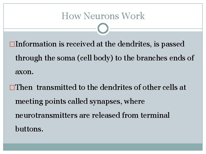 How Neurons Work �Information is received at the dendrites, is passed through the soma