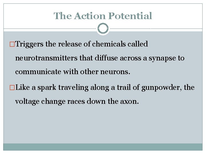 The Action Potential �Triggers the release of chemicals called neurotransmitters that diffuse across a