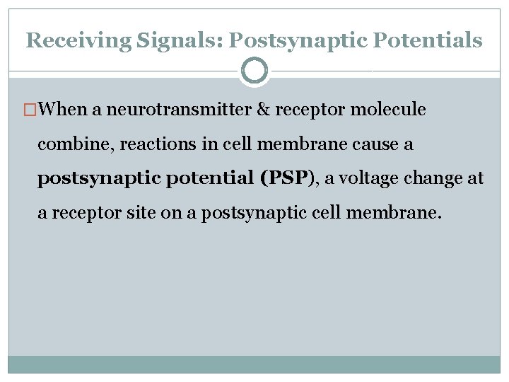 Receiving Signals: Postsynaptic Potentials �When a neurotransmitter & receptor molecule combine, reactions in cell