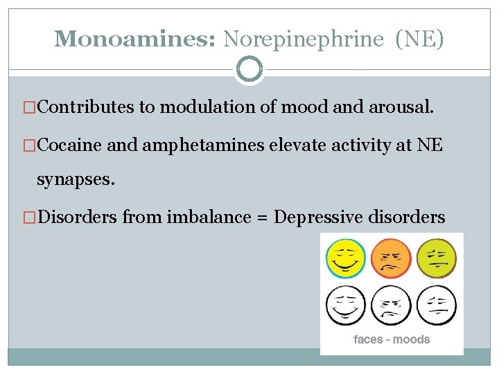 Monoamines: Norepinephrine (NE) �Contributes to modulation of mood and arousal. �Cocaine and amphetamines elevate