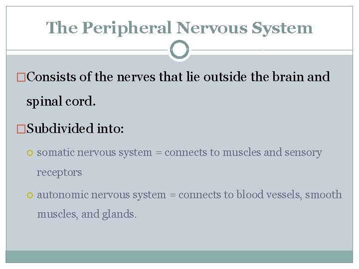 The Peripheral Nervous System �Consists of the nerves that lie outside the brain and