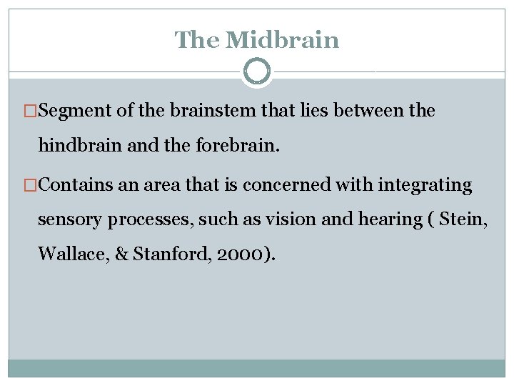 The Midbrain �Segment of the brainstem that lies between the hindbrain and the forebrain.