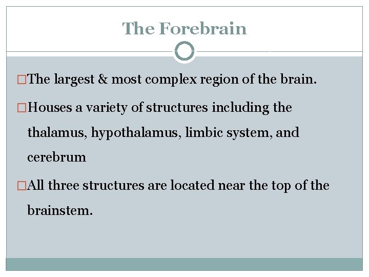 The Forebrain �The largest & most complex region of the brain. �Houses a variety
