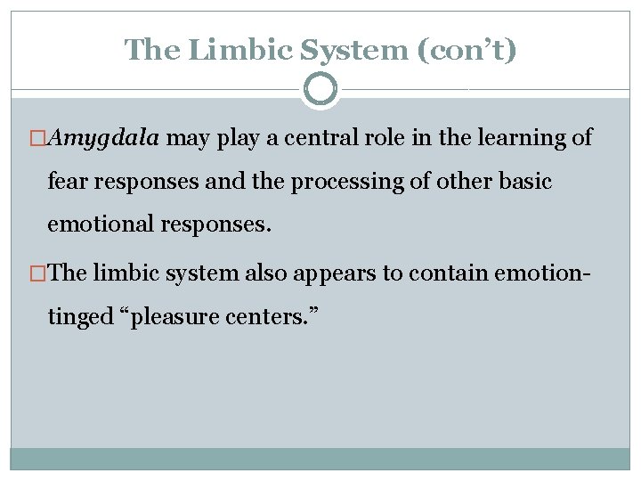 The Limbic System (con’t) �Amygdala may play a central role in the learning of