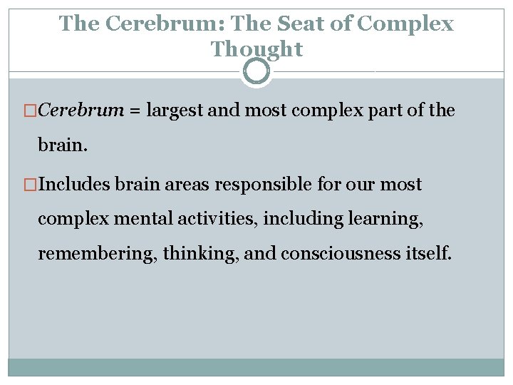 The Cerebrum: The Seat of Complex Thought �Cerebrum = largest and most complex part