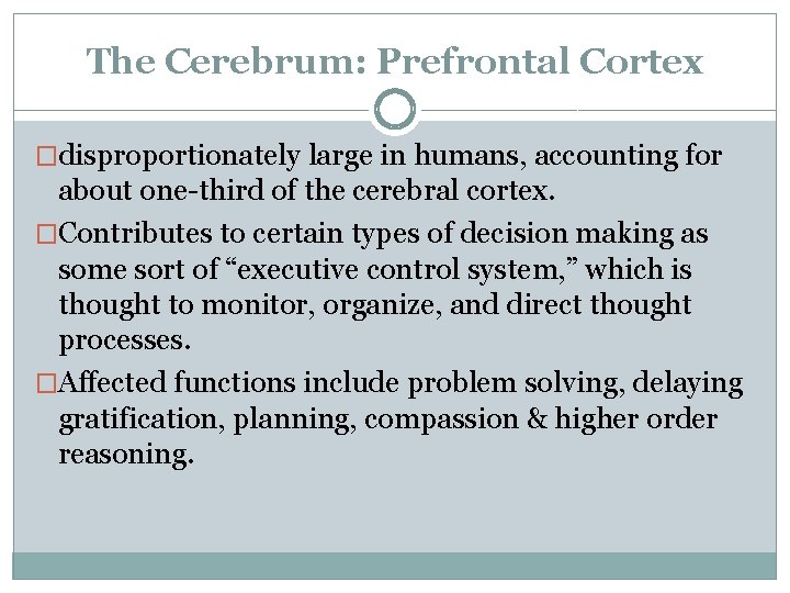 The Cerebrum: Prefrontal Cortex �disproportionately large in humans, accounting for about one-third of the