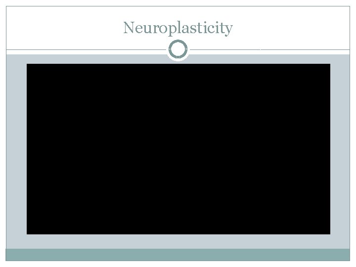 Neuroplasticity 