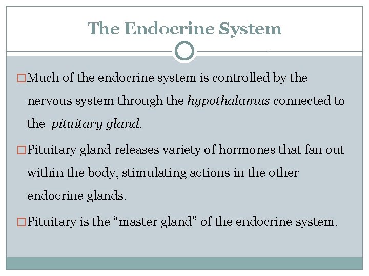 The Endocrine System �Much of the endocrine system is controlled by the nervous system