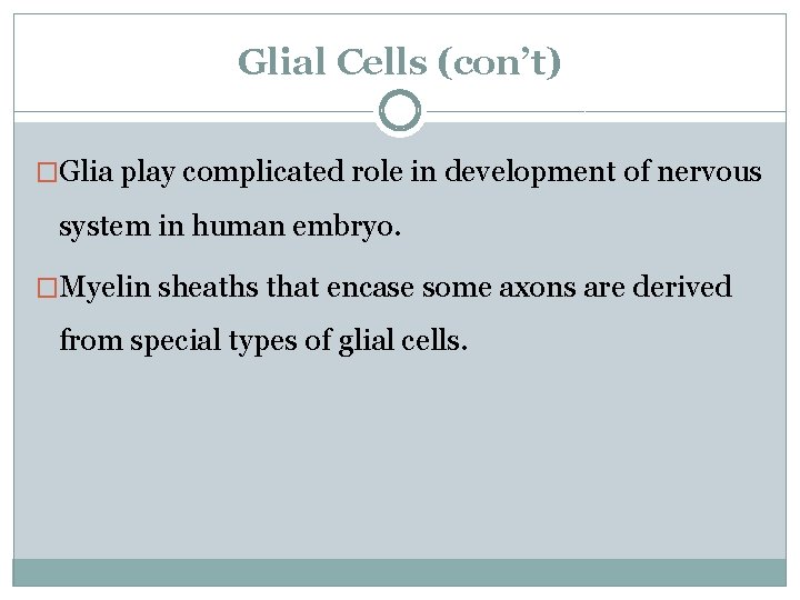 Glial Cells (con’t) �Glia play complicated role in development of nervous system in human