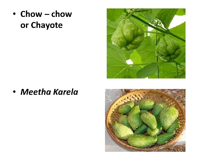  • Chow – chow or Chayote • Meetha Karela 