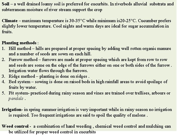 Soil – a well drained loamy soil is preferred for cucurbits. In riverbeds alluvial