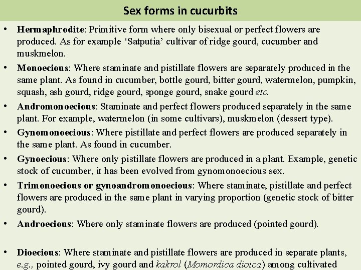 Sex forms in cucurbits • Hermaphrodite: Primitive form where only bisexual or perfect flowers