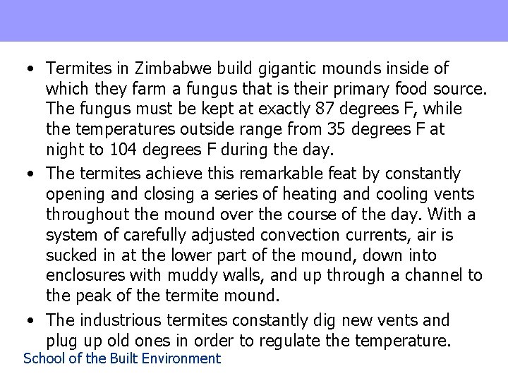  • Termites in Zimbabwe build gigantic mounds inside of which they farm a