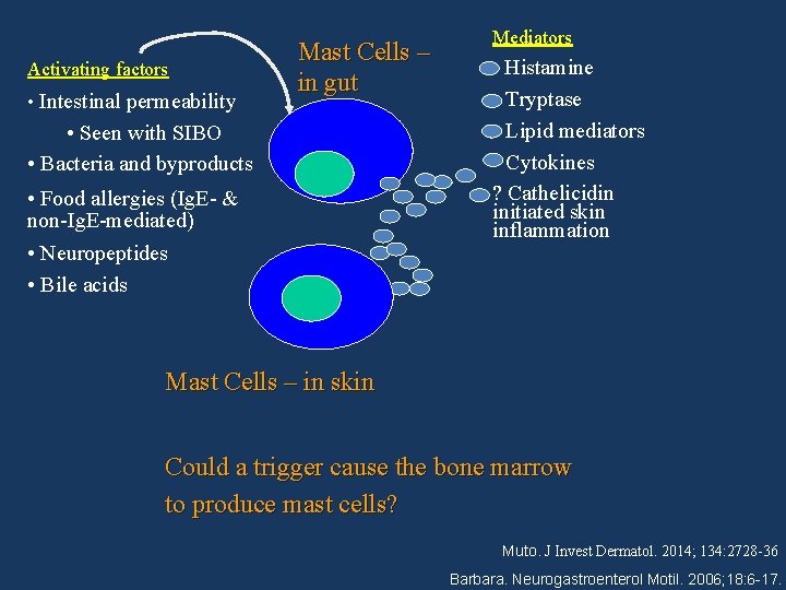 Activating factors • Intestinal permeability Mast Cells – in gut • Seen with SIBO