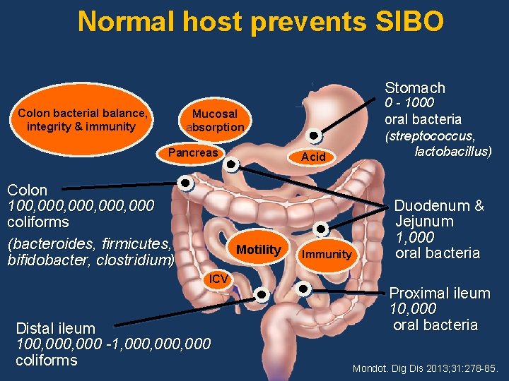 Normal host prevents SIBO Stomach Colon bacterial balance, integrity & immunity 0 - 1000