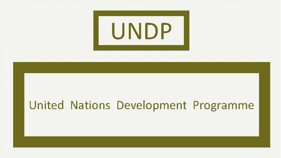 UNDP United Nations Development Programme 