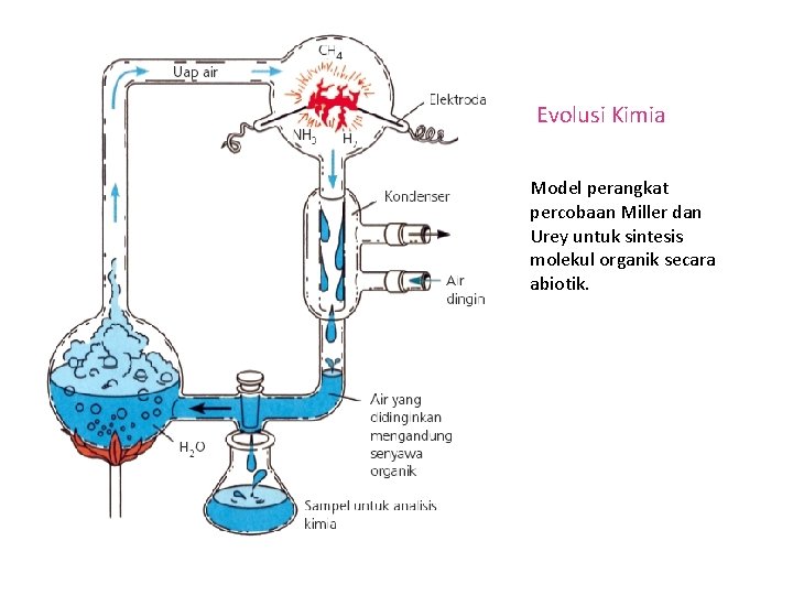 Evolusi Kimia Model perangkat percobaan Miller dan Urey untuk sintesis molekul organik secara abiotik.