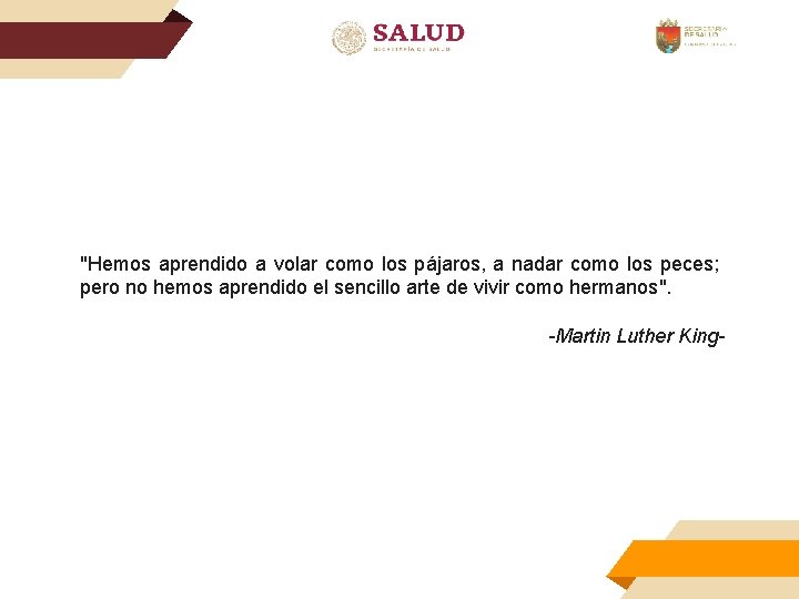 "Hemos aprendido a volar como los pájaros, a nadar como los peces; pero no