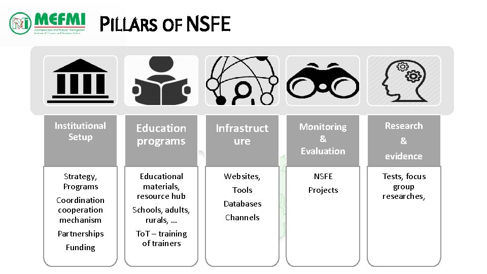 PILLARS OF NSFE Institutional Setup Education programs Infrastruct ure Monitoring & Evaluation Research Strategy,