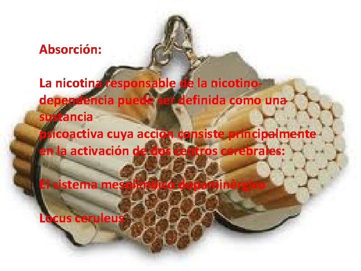 Absorción: La nicotina responsable de la nicotinodependencia puede ser definida como una sustancia psicoactiva