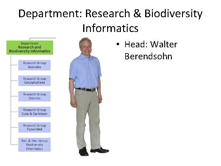Department: Research & Biodiversity Informatics • Head: Walter Berendsohn 