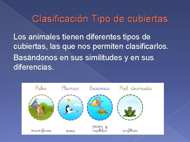 Clasificación Tipo de cubiertas Los animales tienen diferentes tipos de cubiertas, las que nos