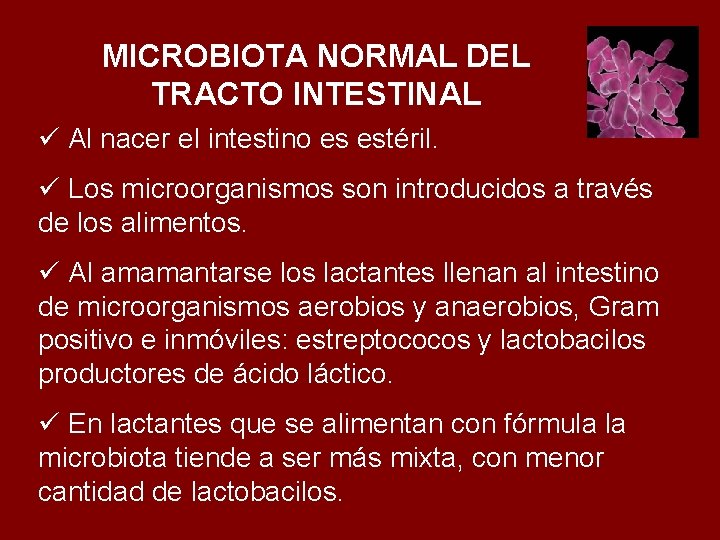 MICROBIOTA NORMAL DEL TRACTO INTESTINAL ü Al nacer el intestino es estéril. ü Los