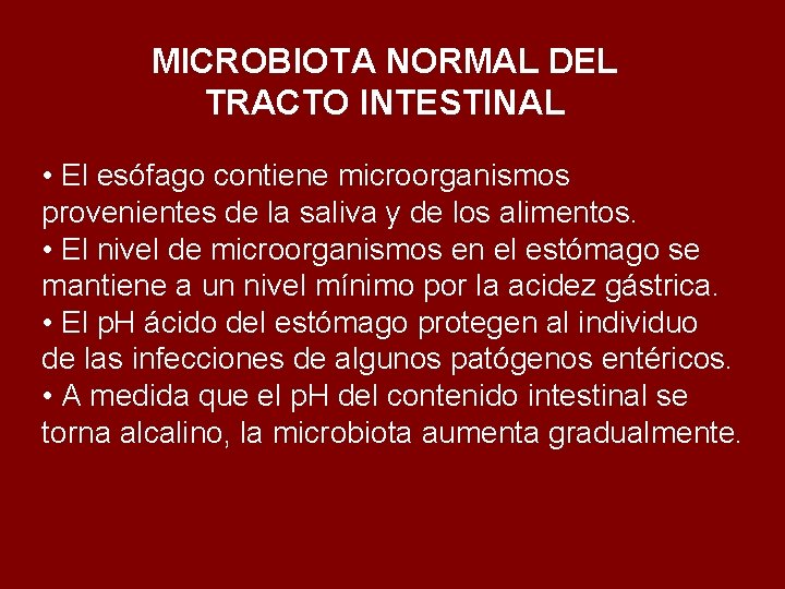 MICROBIOTA NORMAL DEL TRACTO INTESTINAL • El esófago contiene microorganismos provenientes de la saliva