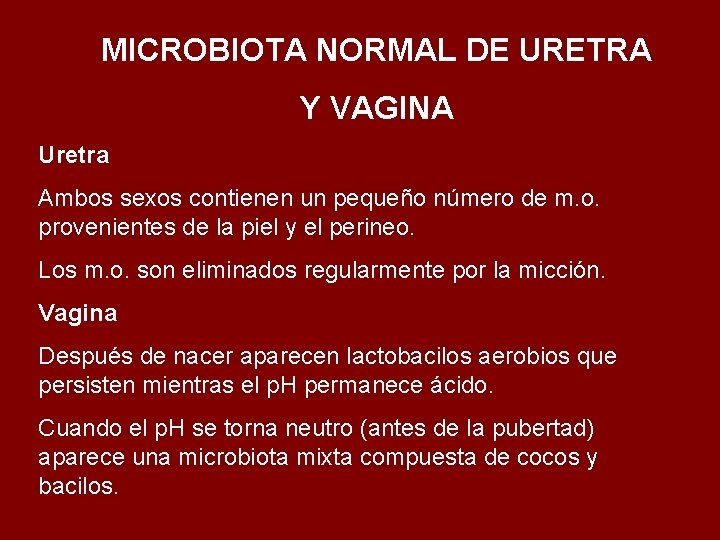 MICROBIOTA NORMAL DE URETRA Y VAGINA Uretra Ambos sexos contienen un pequeño número de