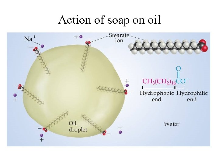 Action of soap on oil 