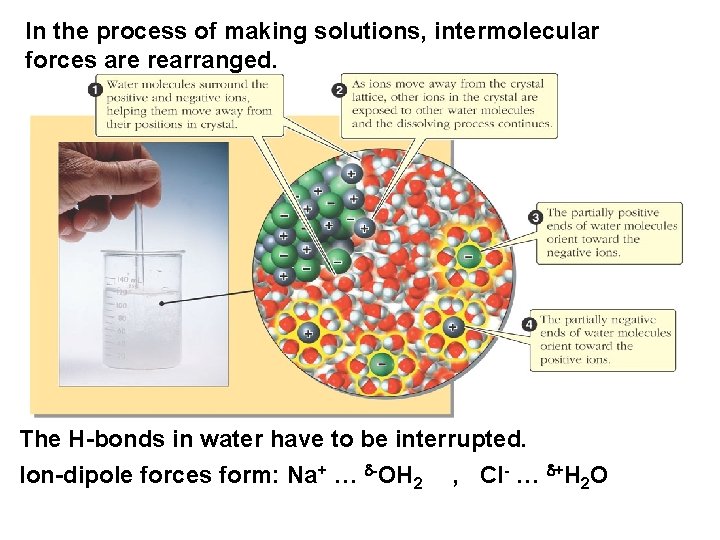In the process of making solutions, intermolecular forces are rearranged. The H-bonds in water