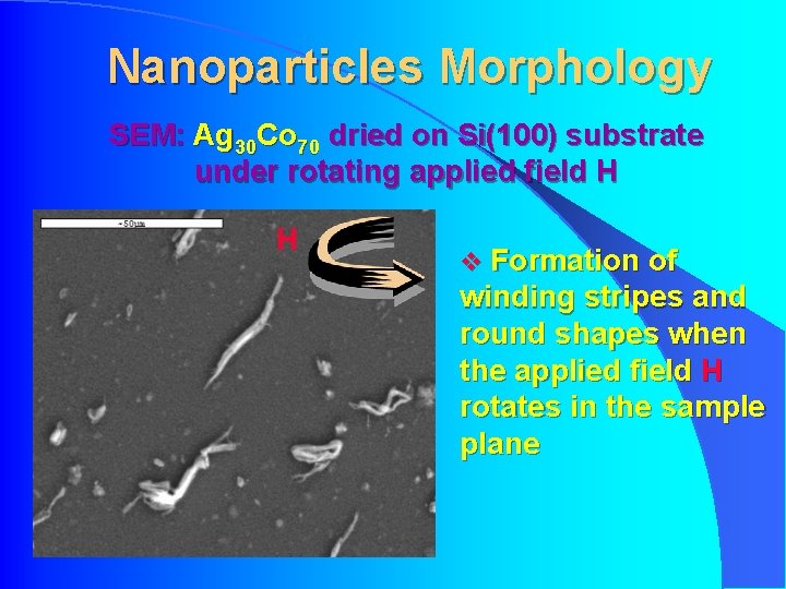 Nanoparticles Morphology SEM: Ag 30 Co 70 dried on Si(100) substrate under rotating applied