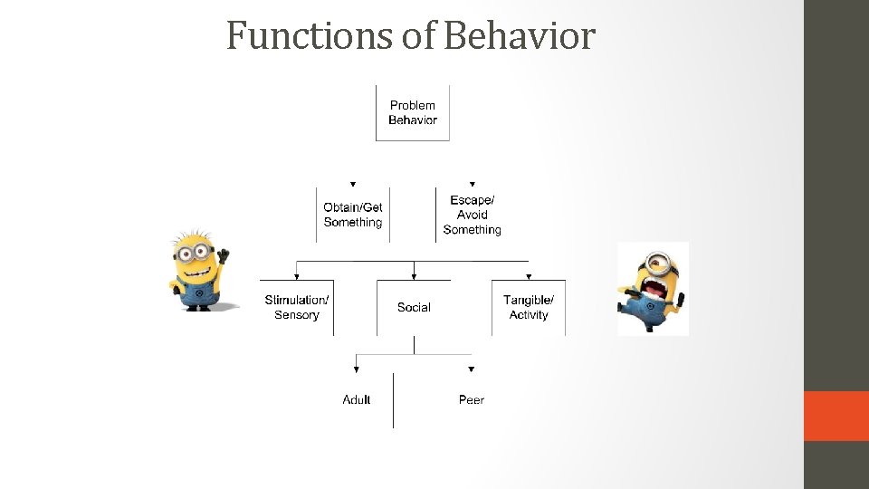 Functions of Behavior 