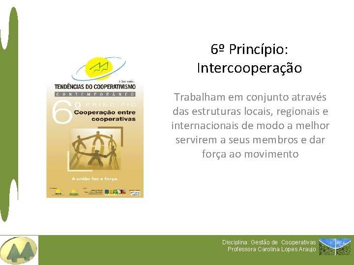 6º Princípio: Intercooperação Trabalham em conjunto através das estruturas locais, regionais e internacionais de