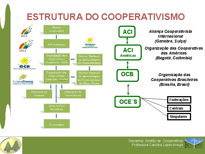 ESTRUTURA DO COOPERATIVISMO ACI Américas OCB OCE´S Aliança Cooperativista Internacional (Genebra, Suíça) Organização das