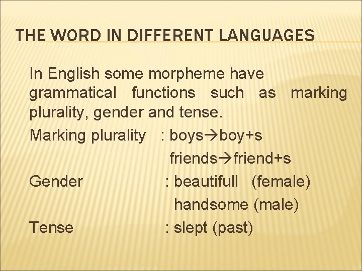 THE WORD IN DIFFERENT LANGUAGES In English some morpheme have grammatical functions such as