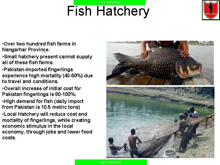UNCLASSIFIED Fish Hatchery • Over two hundred fish farms in Nangarhar Province. • Small