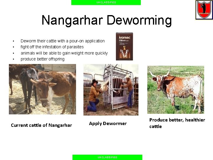 UNCLASSIFIED Nangarhar Deworming • • Deworm their cattle with a pour-on application fight off