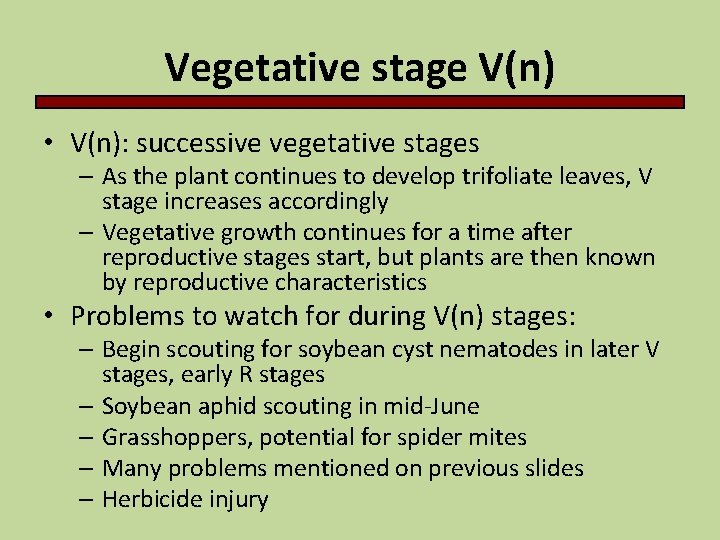 Vegetative stage V(n) • V(n): successive vegetative stages – As the plant continues to