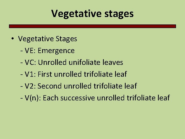 Vegetative stages • Vegetative Stages - VE: Emergence - VC: Unrolled unifoliate leaves -