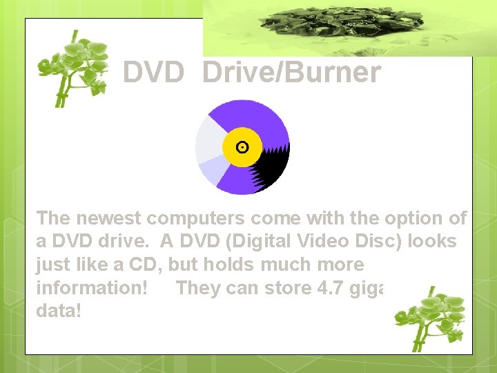 DVD Drive/Burner The newest computers come with the option of a DVD drive. A