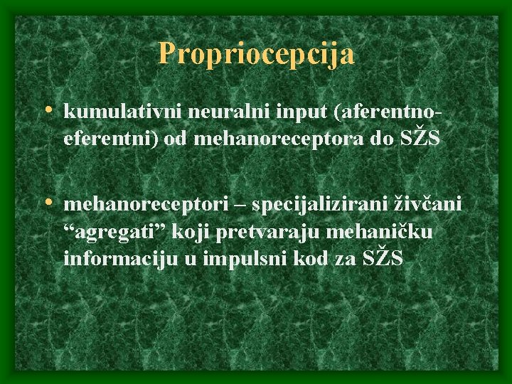 Propriocepcija • kumulativni neuralni input (aferentnoeferentni) od mehanoreceptora do SŽS • mehanoreceptori – specijalizirani