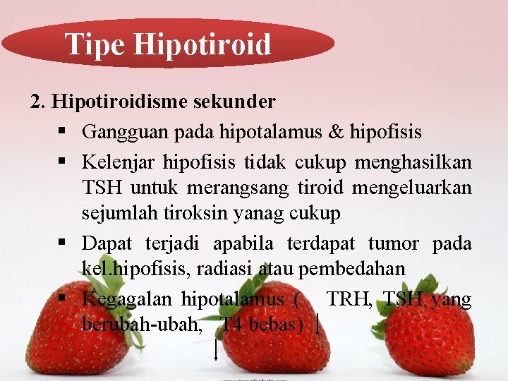 Tipe Hipotiroid 2. Hipotiroidisme sekunder § Gangguan pada hipotalamus & hipofisis § Kelenjar hipofisis